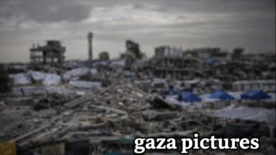 gaza pictures